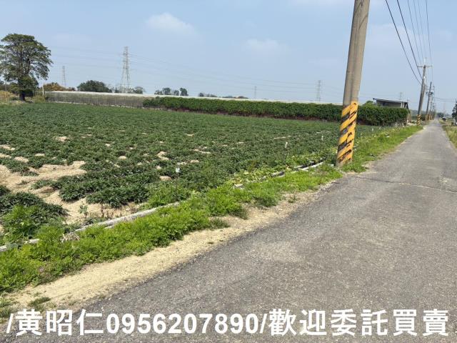 新市農地-10