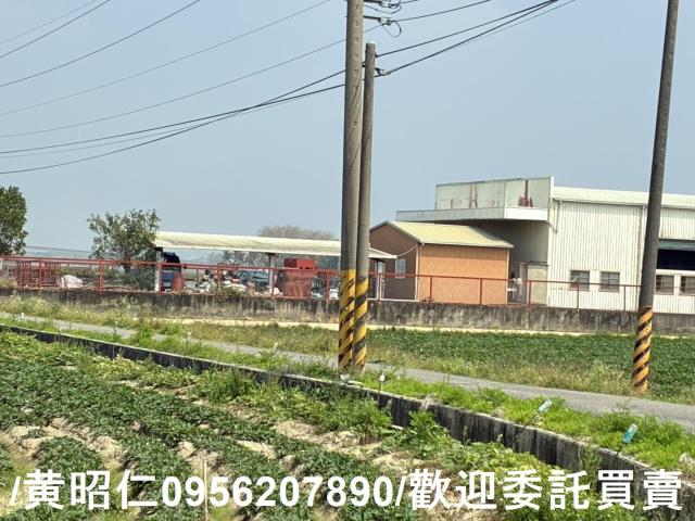 新市農地-11