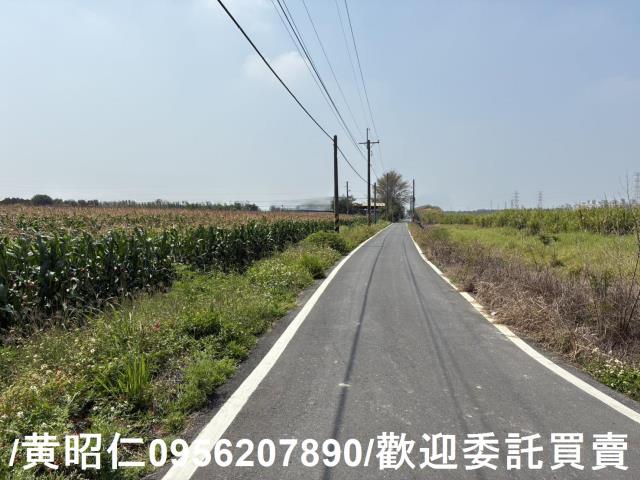 新市農地-3
