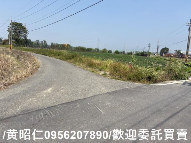新市農地-4