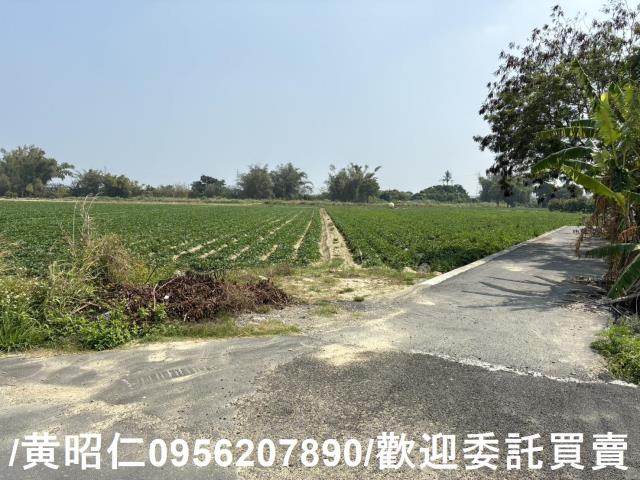 新市農地-5