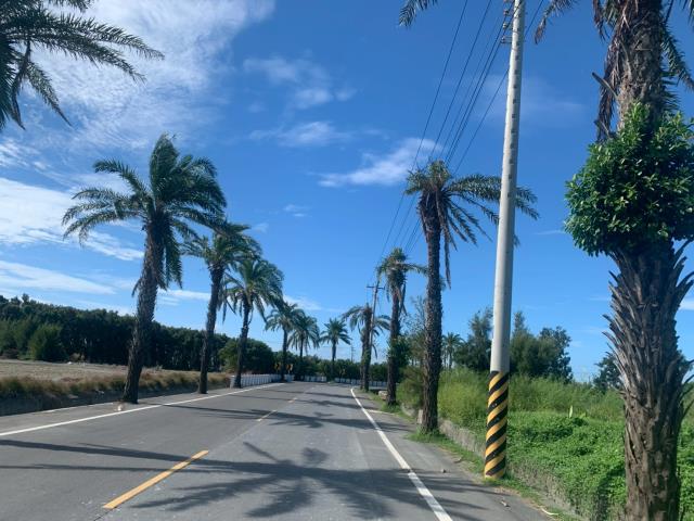 四湖農地-2