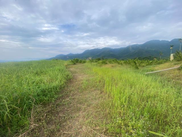 南投竹山農地-2