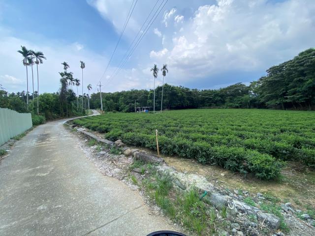 南投名間農地-1