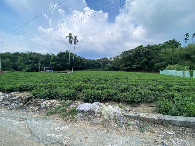 南投名間農地-2