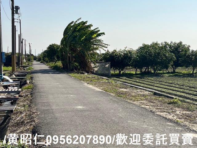 佳里農地-10