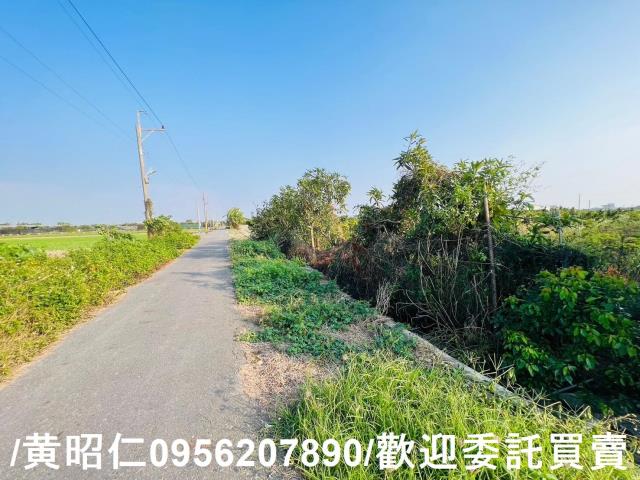 佳里農地-1