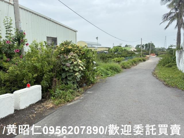 佳里農地-14