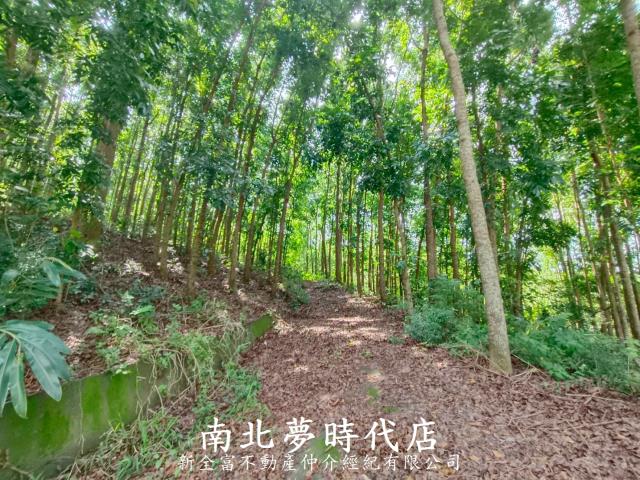 龍崎農地-3