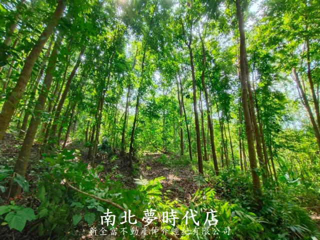 龍崎農地-4