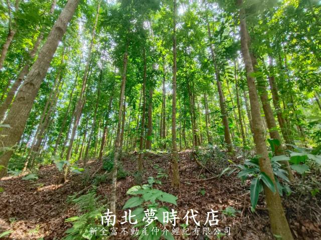 龍崎農地-5
