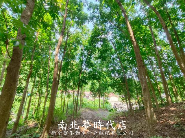 龍崎農地-6