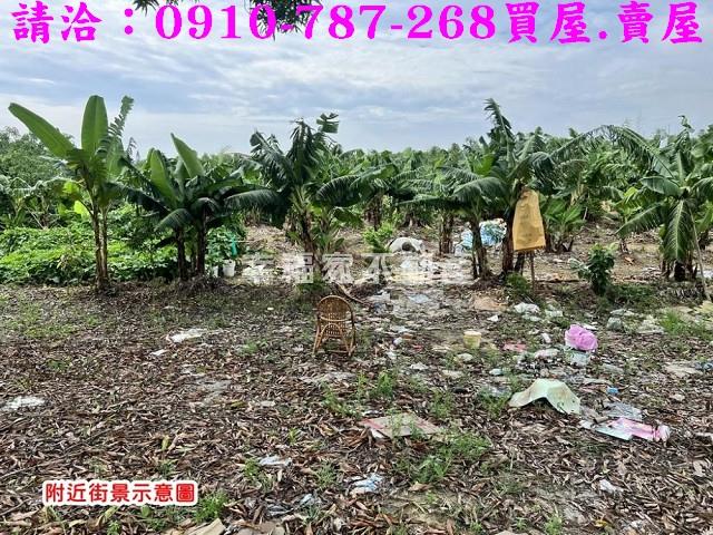 關廟農地-6