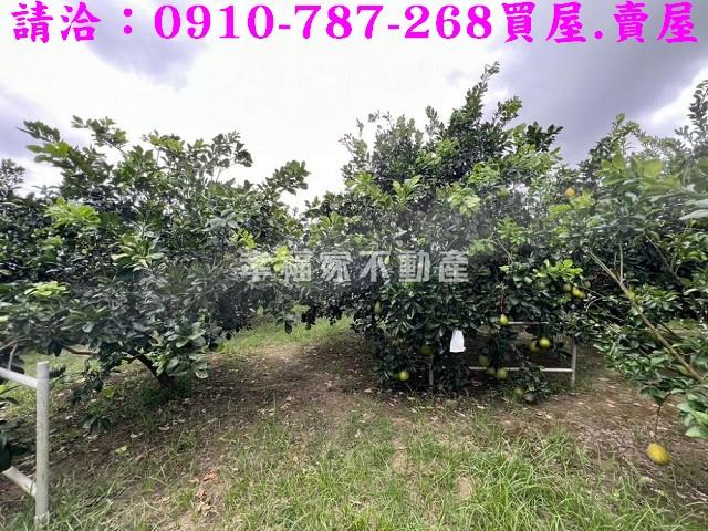 台南農地-12