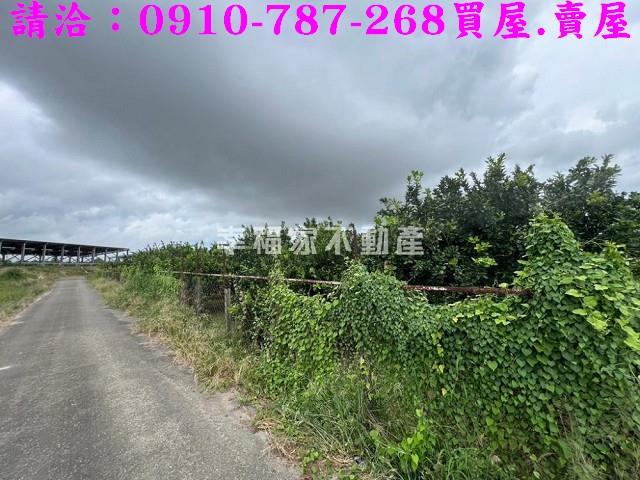 台南農地-9