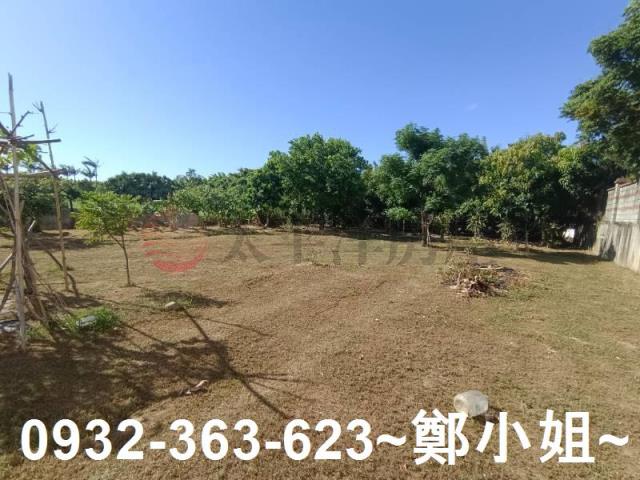 桃園農地-14