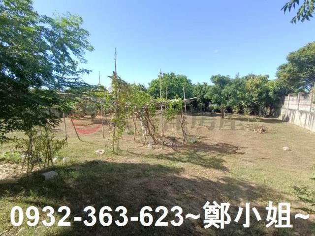 桃園農地-15