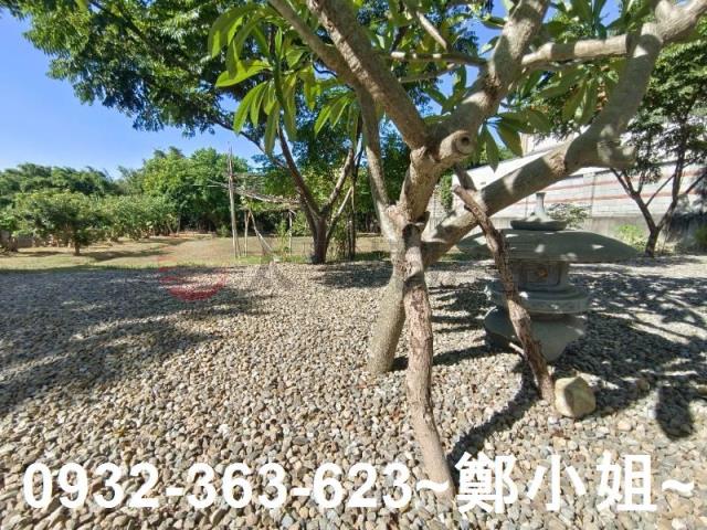 桃園農地-5
