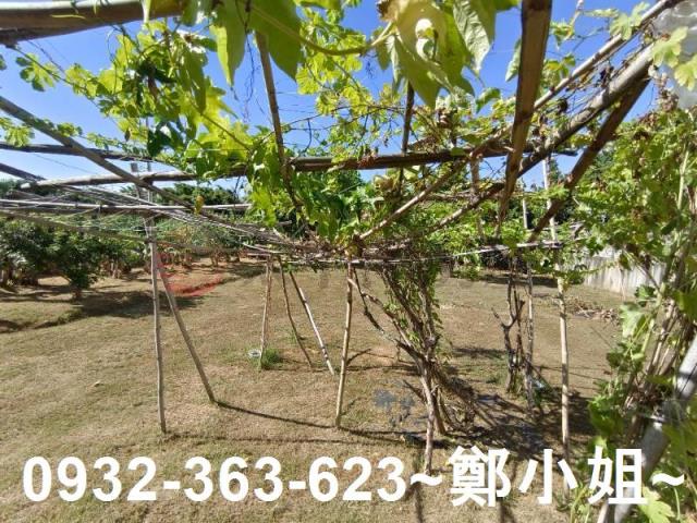 桃園農地-6