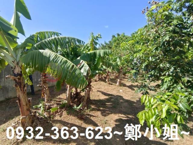 桃園農地-7