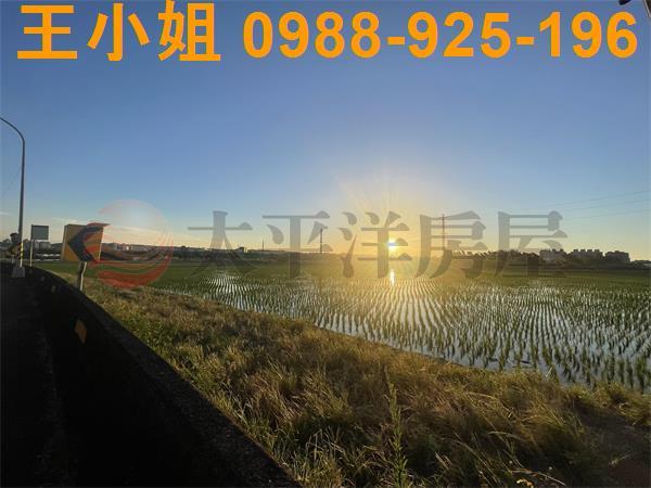 桃園平鎮農地-11