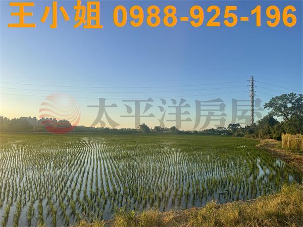 桃園平鎮農地-13