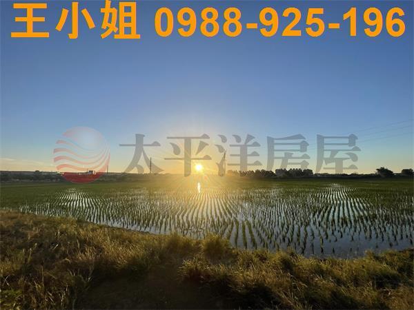 桃園平鎮農地-14