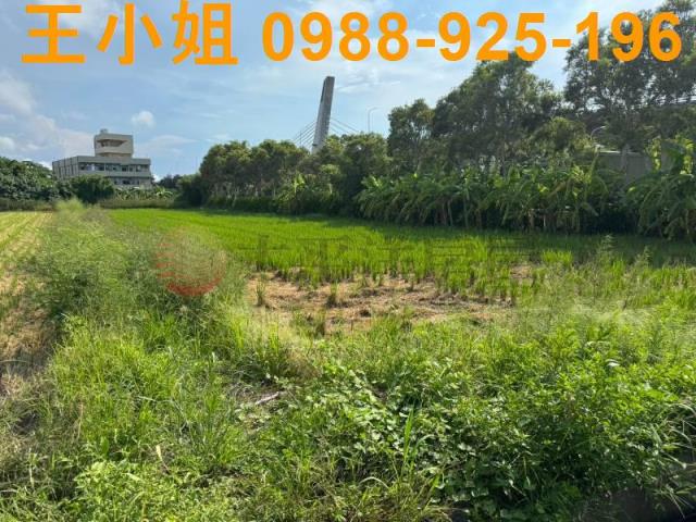 新屋農地-11