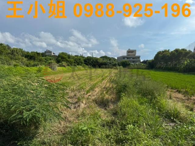新屋農地-13