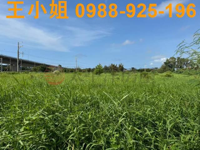 新屋農地-14