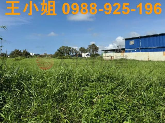 新屋農地-15