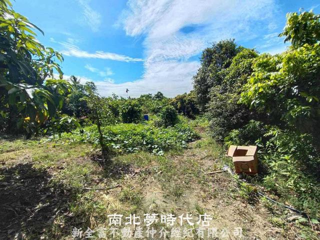 官田農地-10