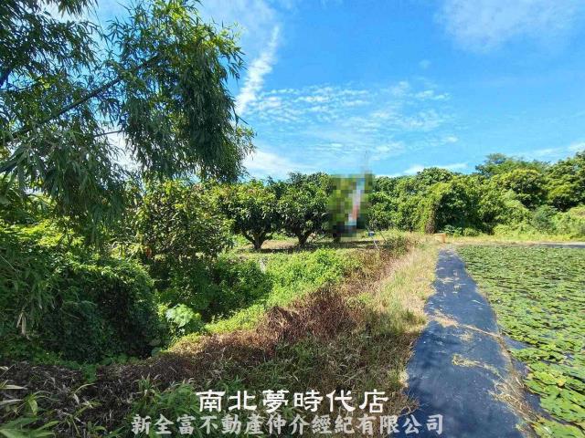 官田農地-11