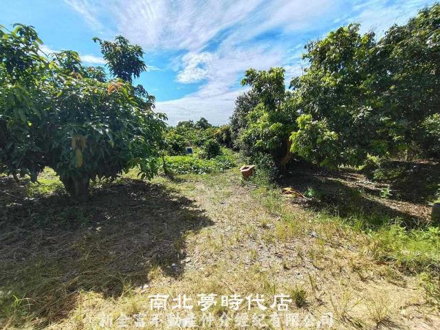 官田農地-1