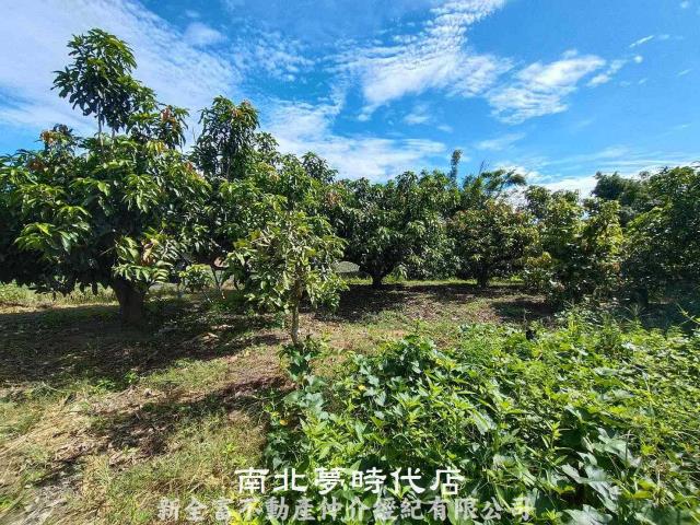 官田農地-2