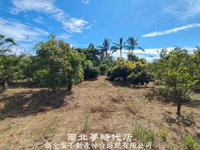 官田農地-3