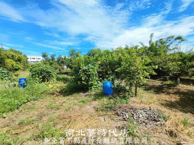 官田農地-4