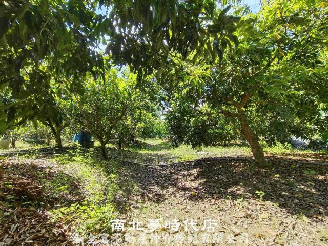 官田農地-5