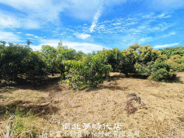 官田農地-6