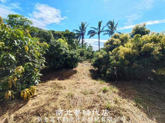官田農地-7