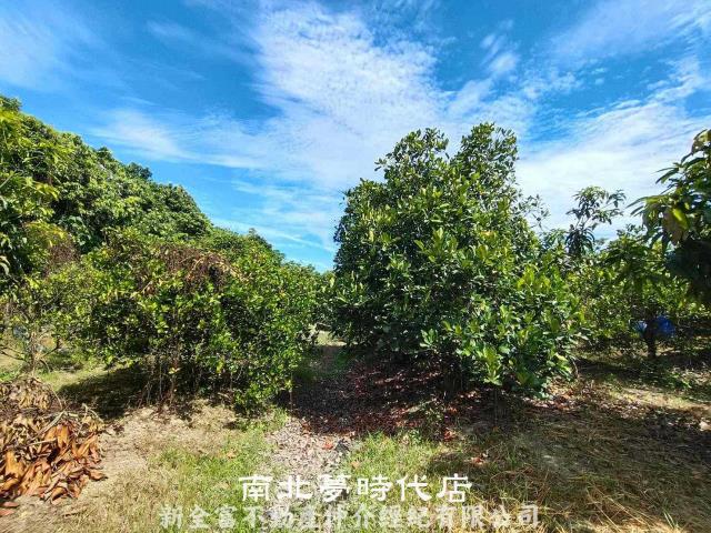 官田農地-8