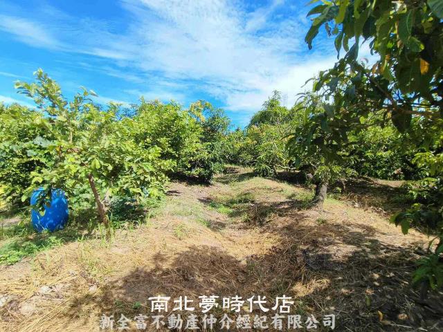 官田農地-9