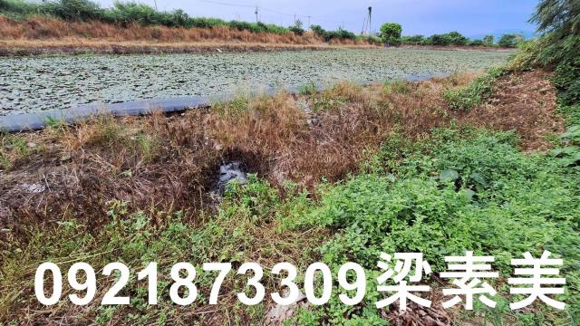 台南官田農地-10