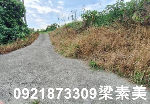 台南官田農地-6