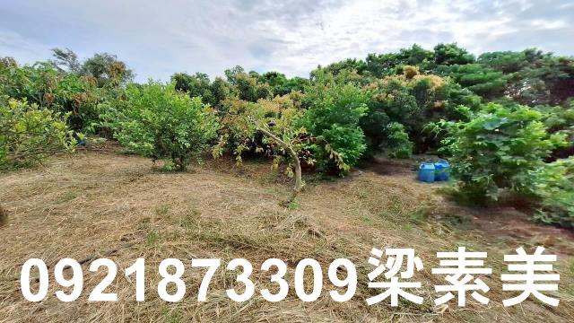 台南官田農地-7