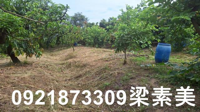 台南官田農地-8