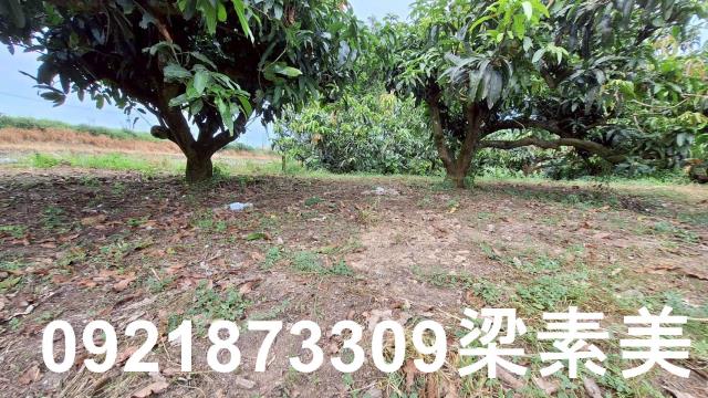 台南官田農地-9