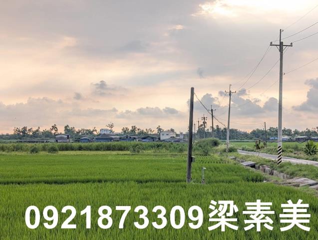台南白河農地-1