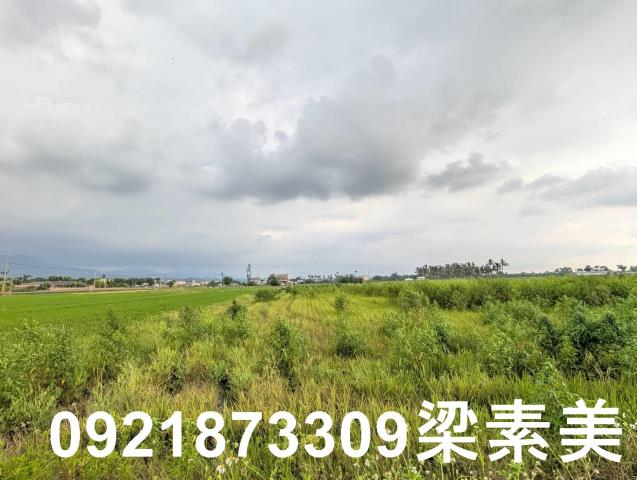台南白河農地-4