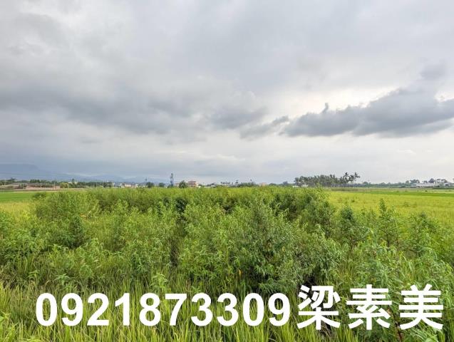 台南白河農地-5